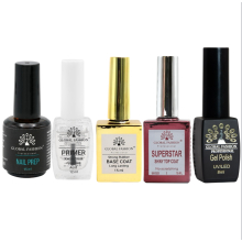 Kit Profesional pentru Construirea și Extensia Unghiilor